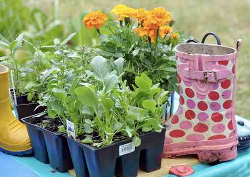 Recicla botas de lluvia en macetas para flores